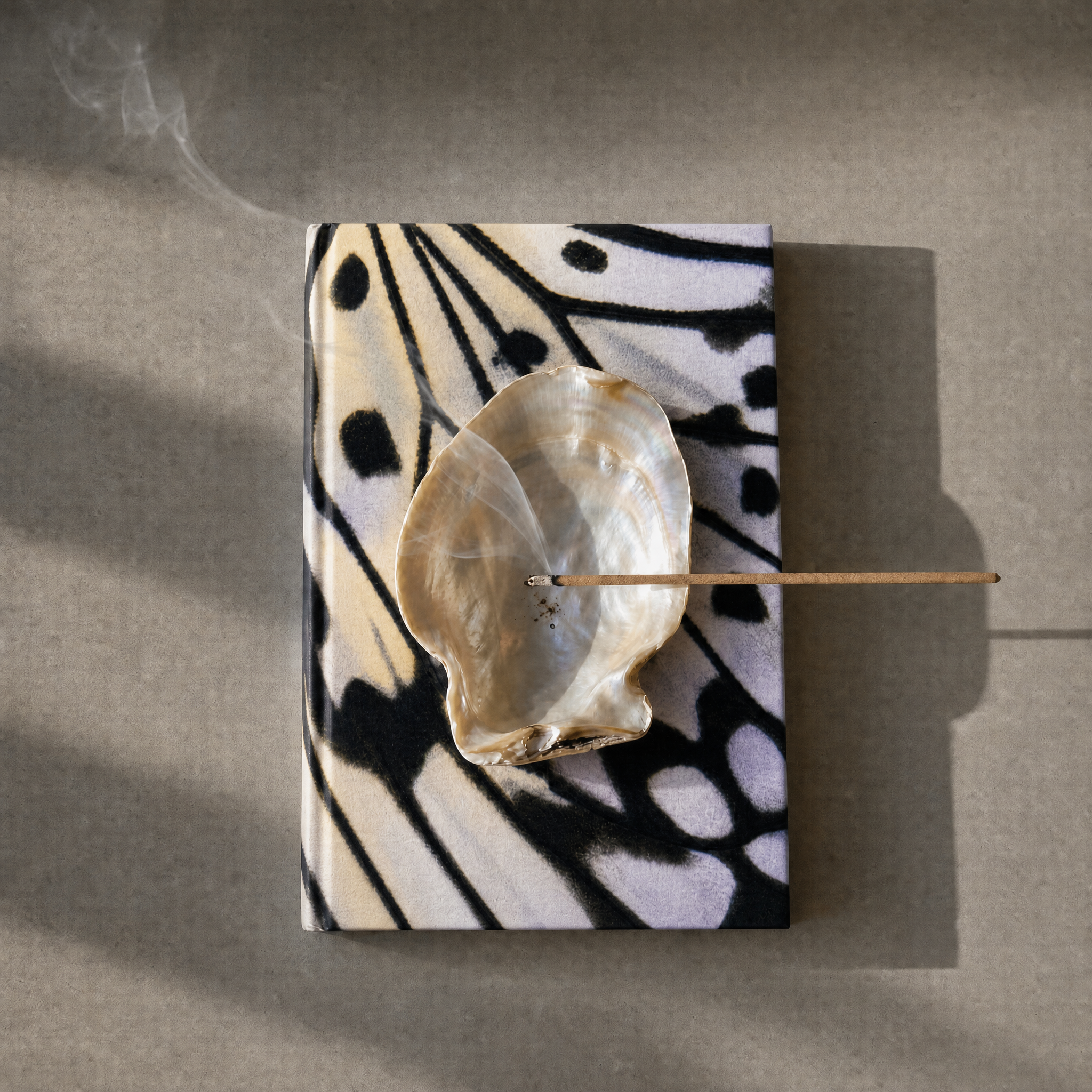 journal with incense sitting on it with a shell in the sunlight 
