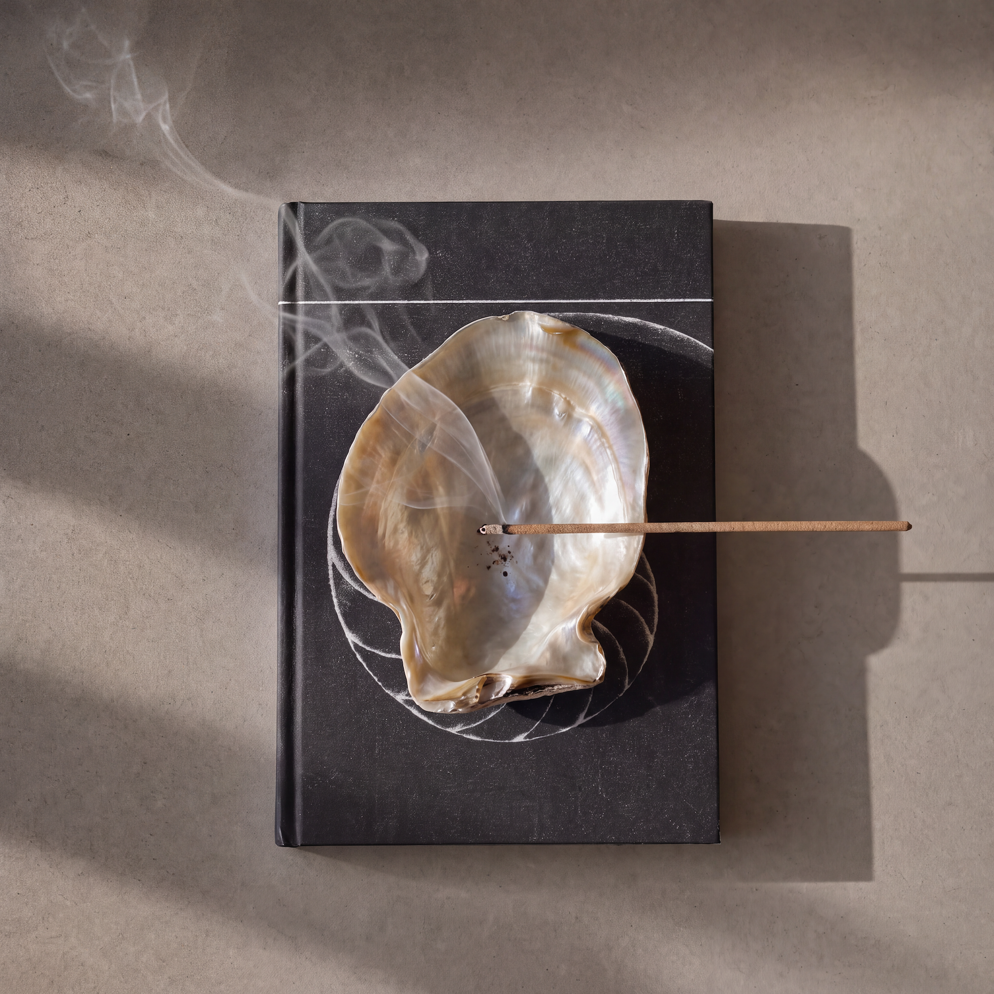 A black hardcover book lies on a beige surface with a large natural shell dish and a smoking incense stick placed on top. Thin white smoke curls upward, and the scene is lit by directional sunlight with soft shadows.
